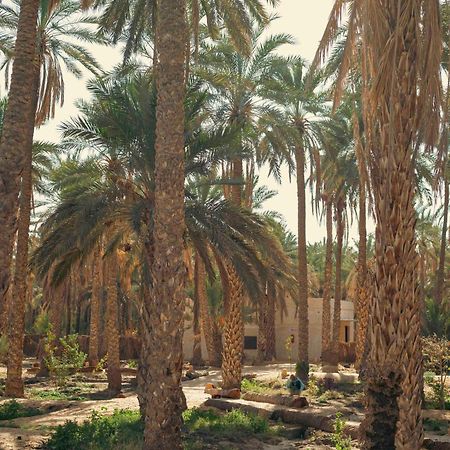 Villa Taouzert توزر المظهر الخارجي الصورة