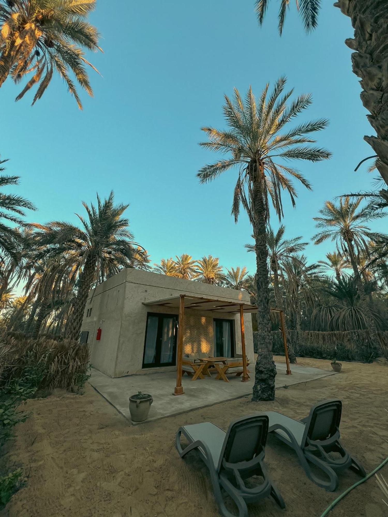 Villa Taouzert توزر المظهر الخارجي الصورة